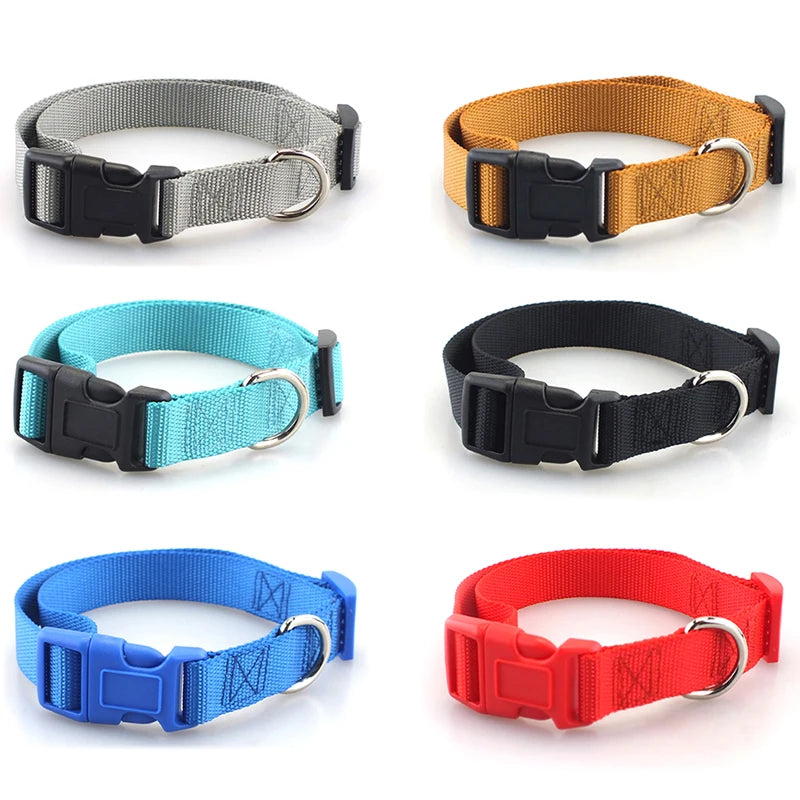 Adjustable Heavy Nylon Dog Collar