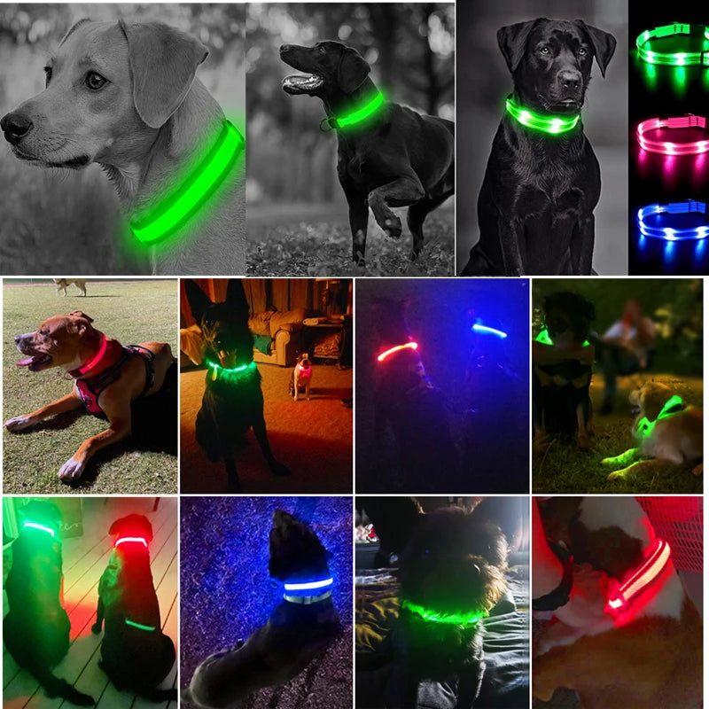 3 Modes Dog Luminous Charge Collars