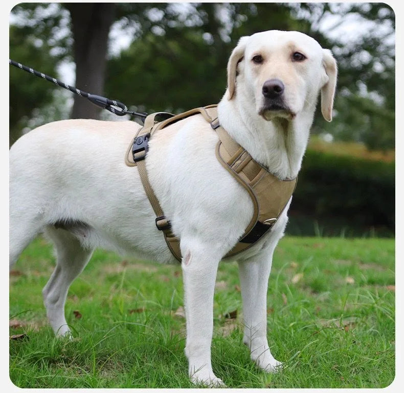 AirTag Dog Harness