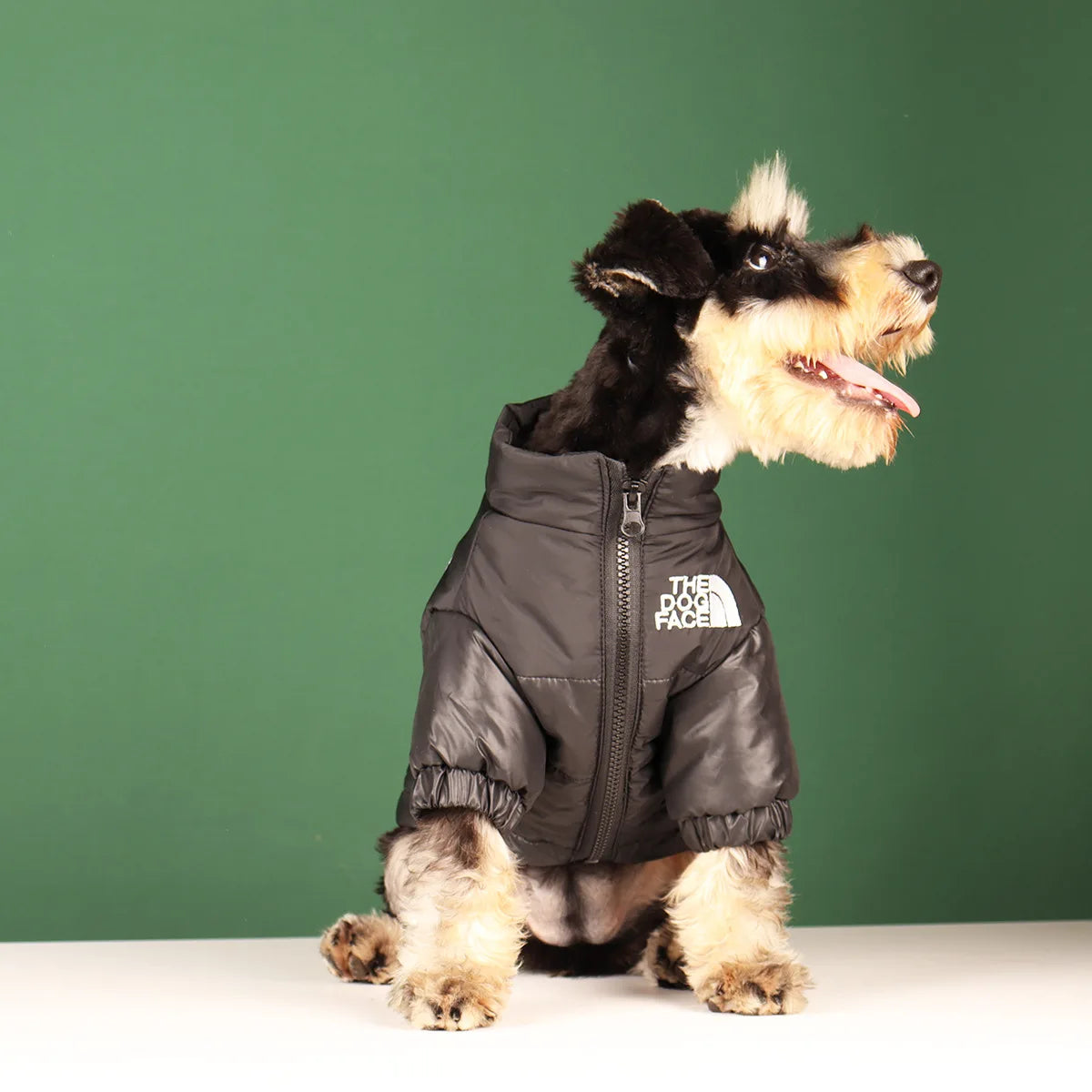 Casual Winter Dog Coat