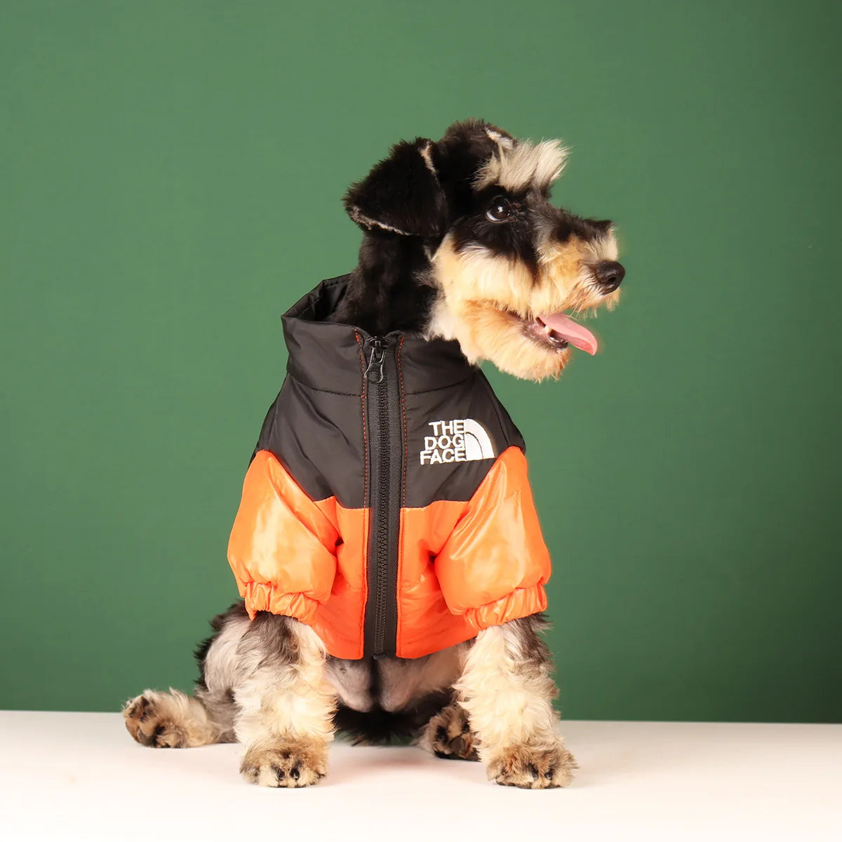 Casual Winter Dog Coat