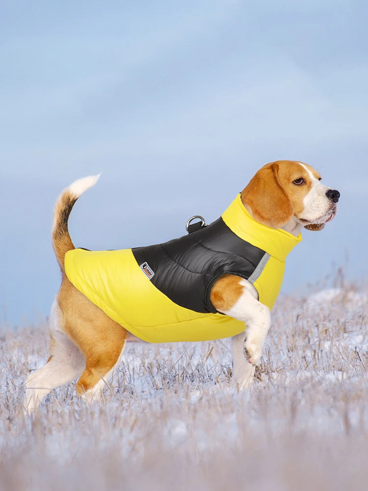 Winter Waterproof Dog Jacket