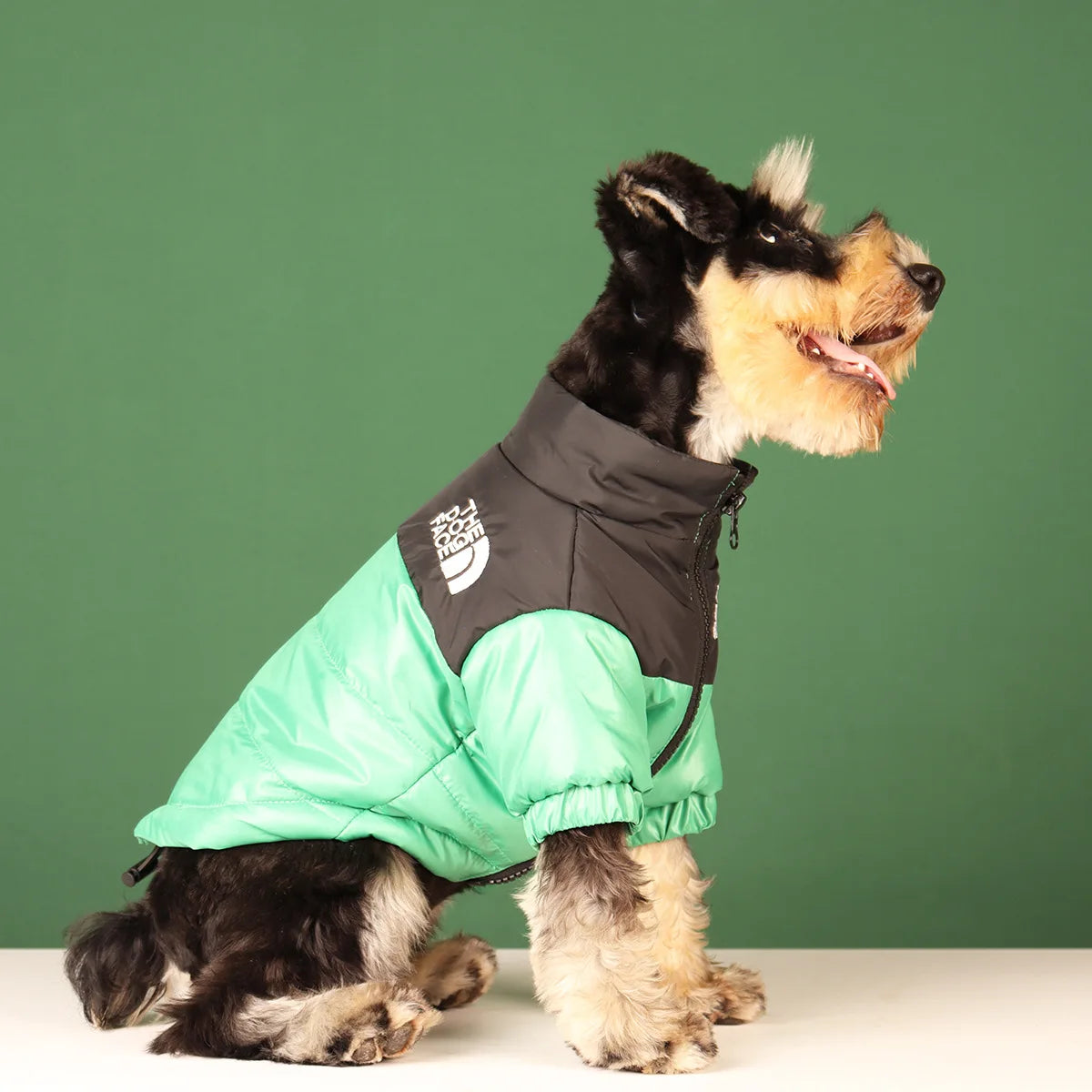 Casual Winter Dog Coat