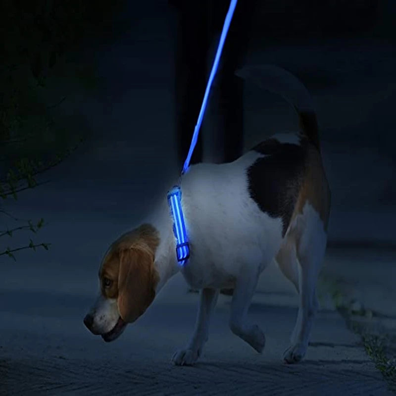 3 Modes Dog Luminous Charge Collars