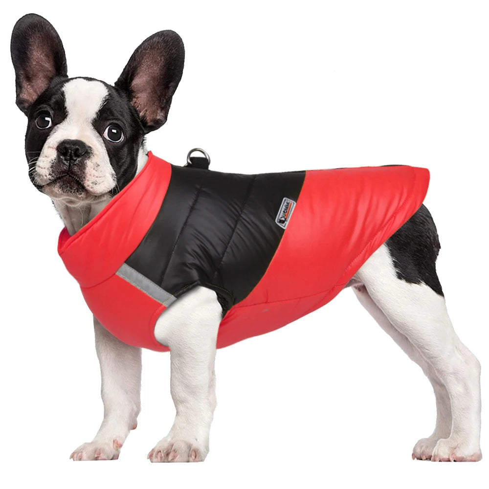 Winter Waterproof Dog Jacket