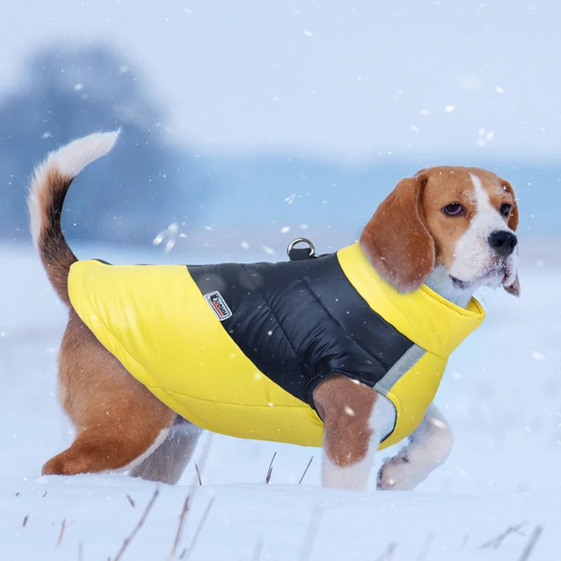 Winter Waterproof Dog Jacket