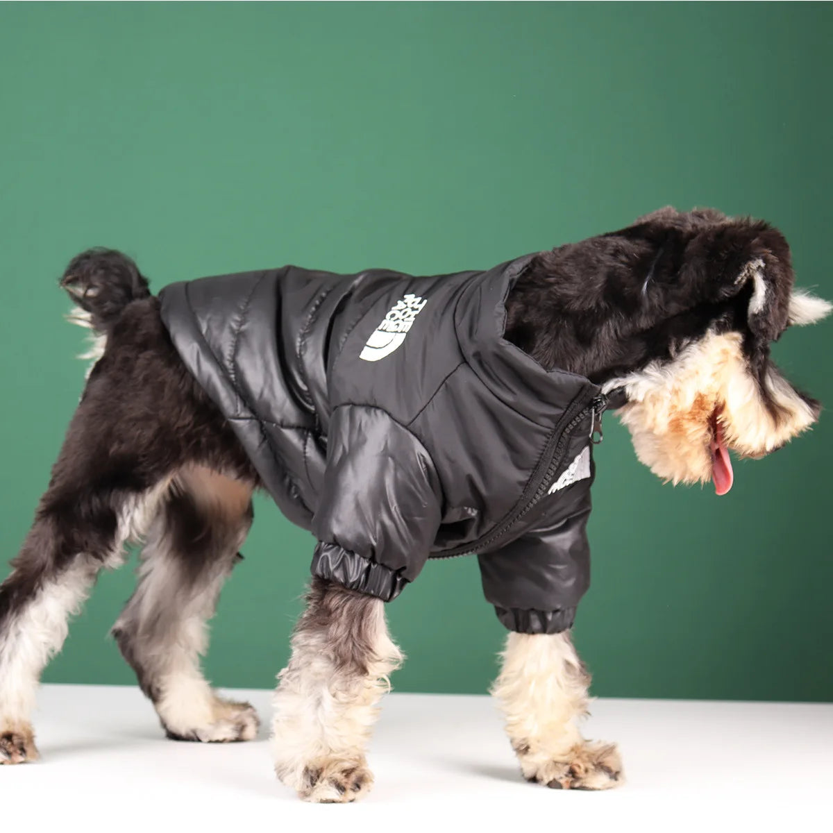 Casual Winter Dog Coat