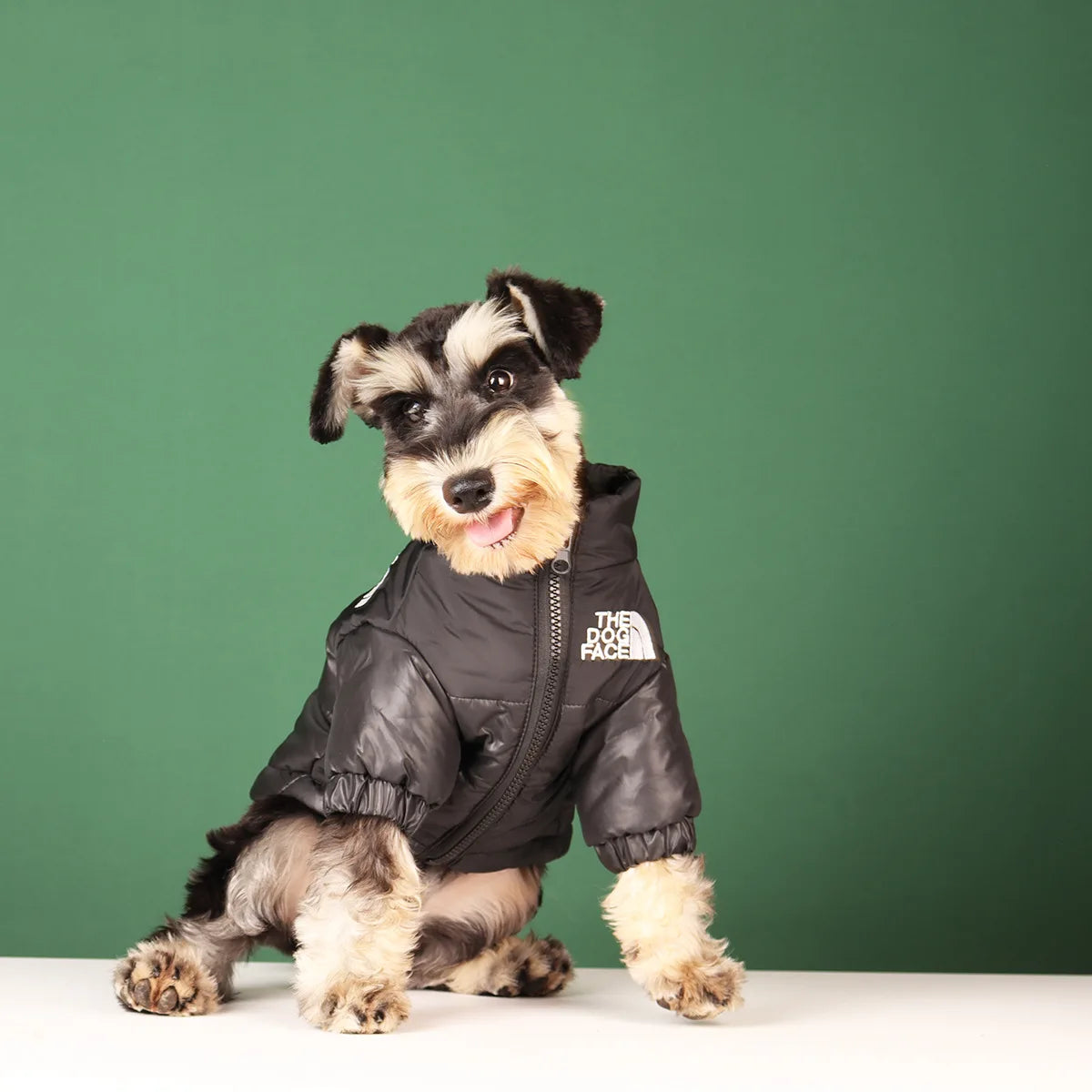 Casual Winter Dog Coat