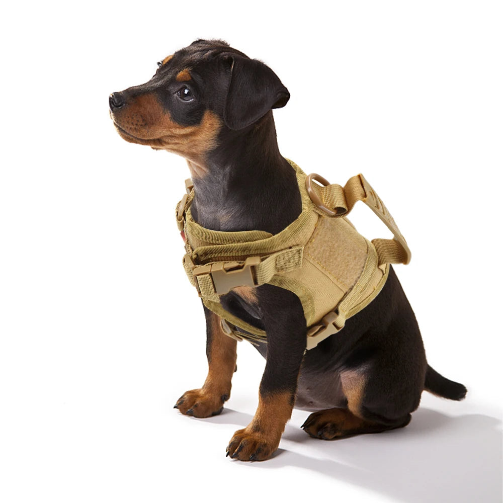 Tactical Style Puppy Harness