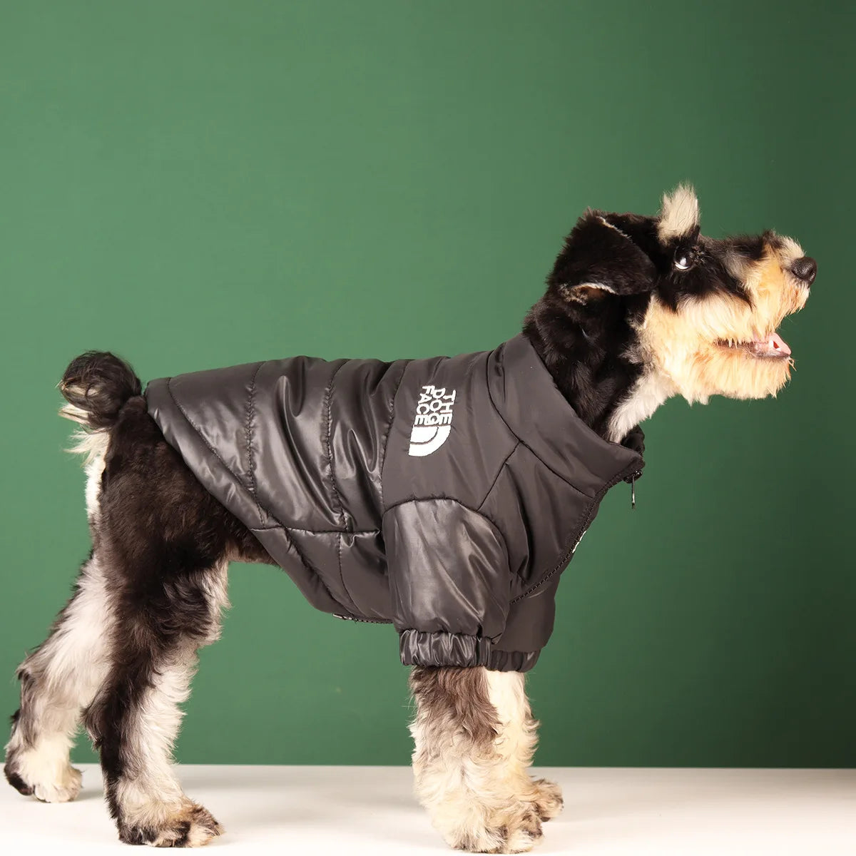 Casual Winter Dog Coat