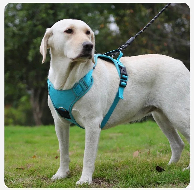 AirTag Dog Harness