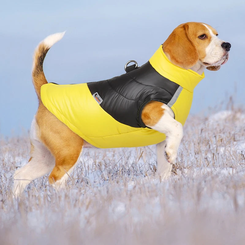 Winter Waterproof Dog Jacket