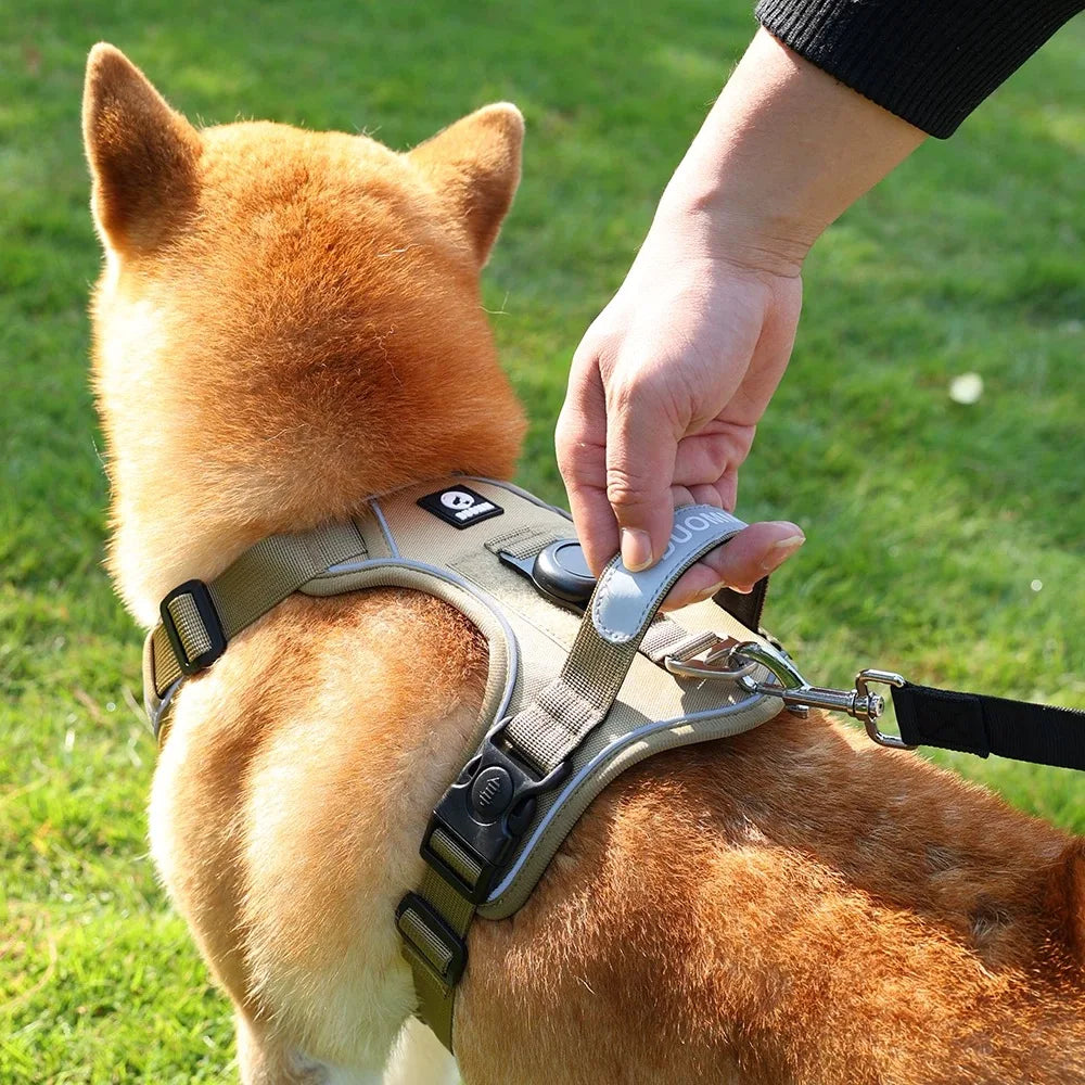AirTag Dog Harness