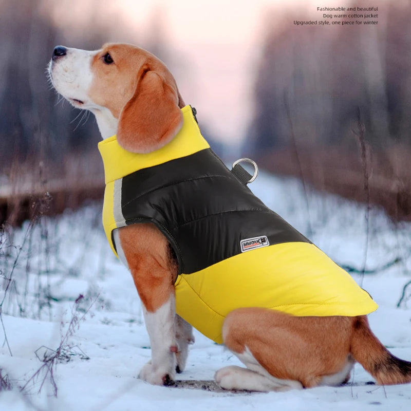 Winter Waterproof Dog Jacket
