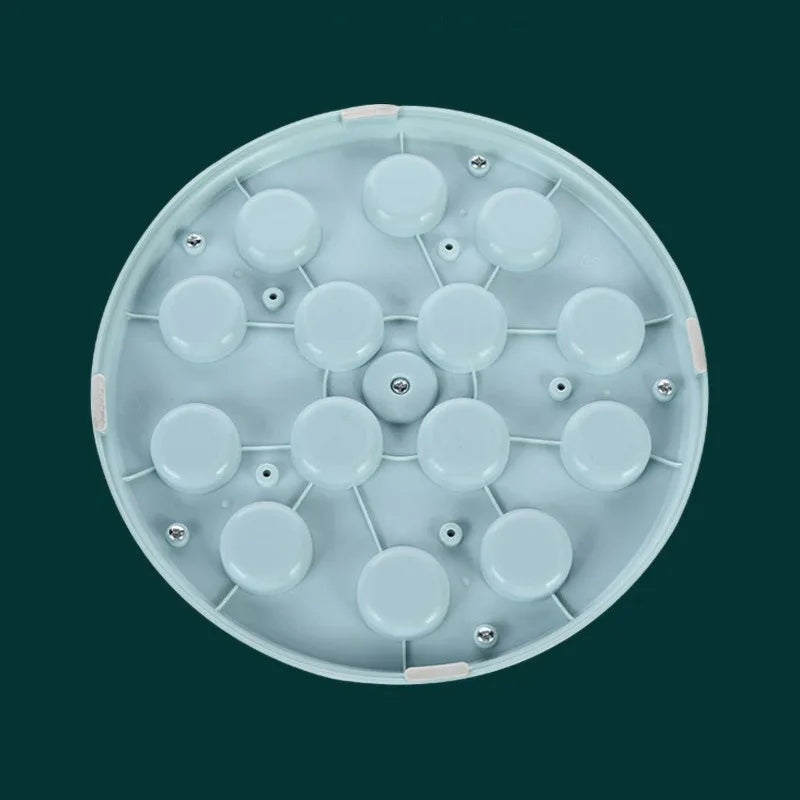 Interactive Smart Pet Feeder