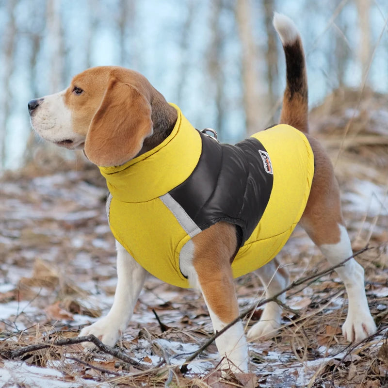 Winter Waterproof Dog Jacket
